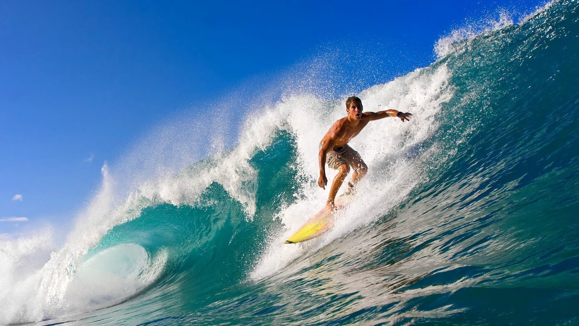 “青训学院引入国际先进自主研发训练设备”，青训营百度百科